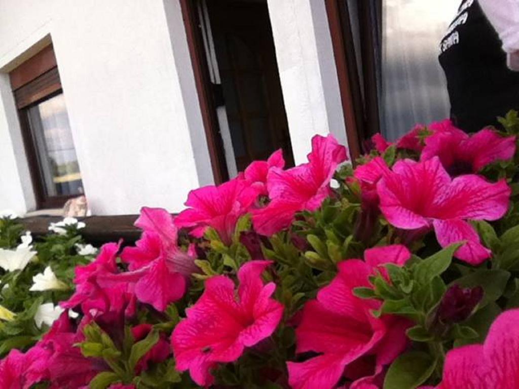 Guesthouse Magdalena Rakovica Rum bild